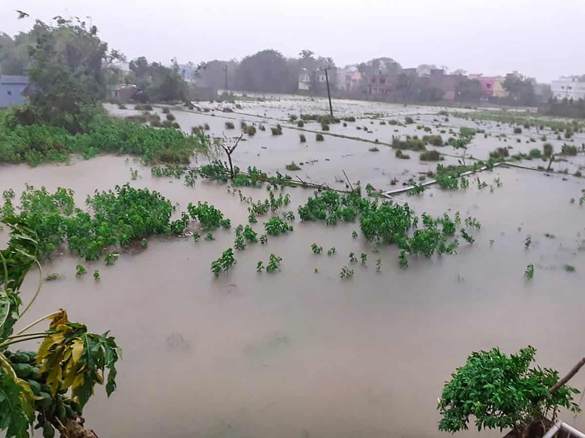 New Zealand appoints ministers in charge of cyclone response