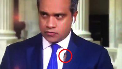 Watch: Reporter's live gets interrupted by an "Unwelcome Visitor"