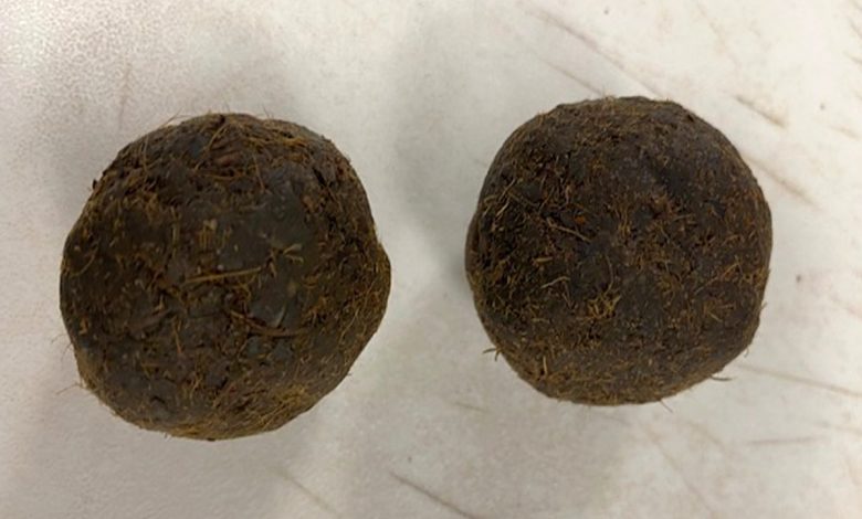 Cow dung cakes found in Indian man’s luggage in US