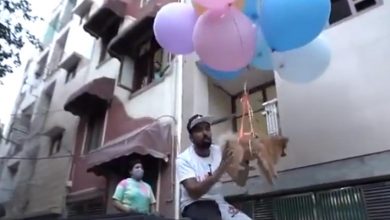 Delhi youTuber arrested for making dog fly with helium balloons
