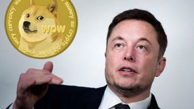 Musk-promoted Dogecoin crashes as he appears on 'SNL' TV show