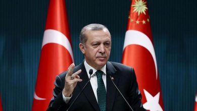 Erdogan tells Putin that Israel needs a 'lesson'