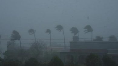 Cyclone Tauktae hits K'taka coast, brings in heavy rainfall