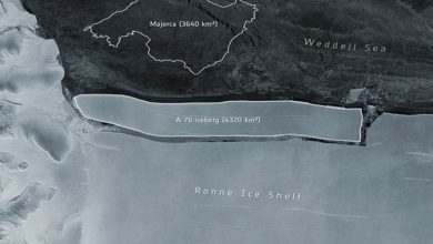 World's largest iceberg breaks off Antarctica: European Space Agency