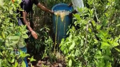 AP police destroys 1,500 liters of jaggery wash