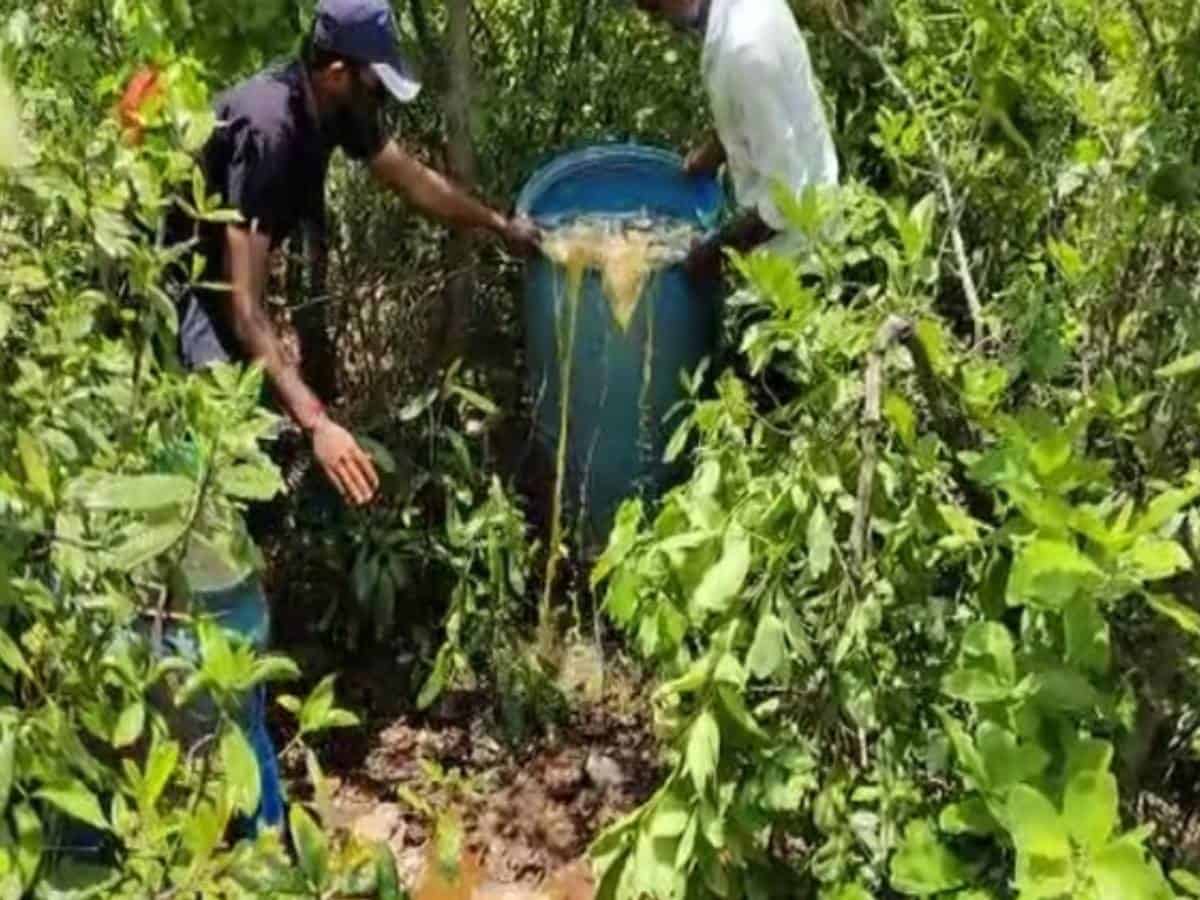 AP police destroys 1,500 liters of jaggery wash