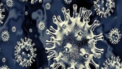 Telangana's Ayush department suggests homeopathic treatment for mucormycosis