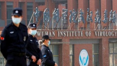 As COVID-19 lab leak theory looks feasible China's animal theory argument collapses