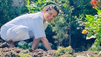 Kangana plants trees in Tauktae aftermath; requests BMC, Gujarat govt to follow suit