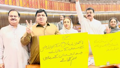 Pak lawmaker demands Hindus to be called non-Muslims, not minority