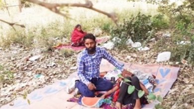 COVID-19 patients make beeline for Peepal tree in UP district