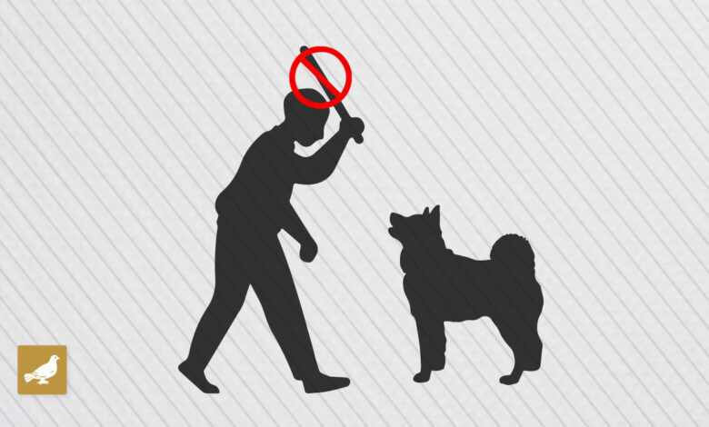 2 men caught on camera torturing stray dogs in Mumbai; FIR registered