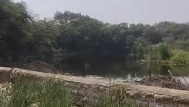 NGT says no improvement in Telangana's historic lake, warns of coercive measures