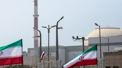 Iran's sole nuclear power plant up and running after closure