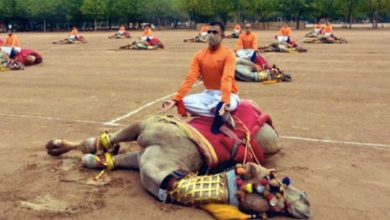 BSF's Yoga on camels' back draws public ire on social media