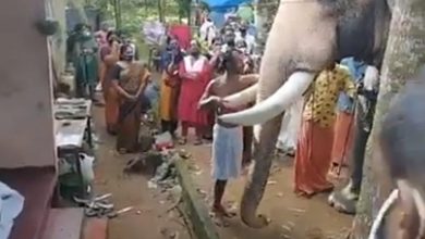 Heartbreaking video of elephant paying final respects to its mahout goes viral