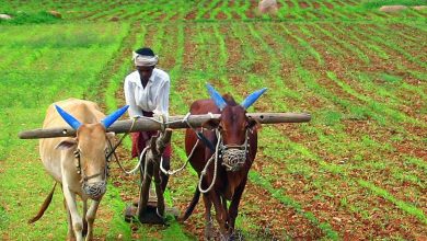 Telangana farmers to get Rs 7,509 cr investment support from June 15