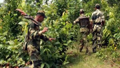 AP: 6 Maoists killed in encounter in Vishakapatnam's forests