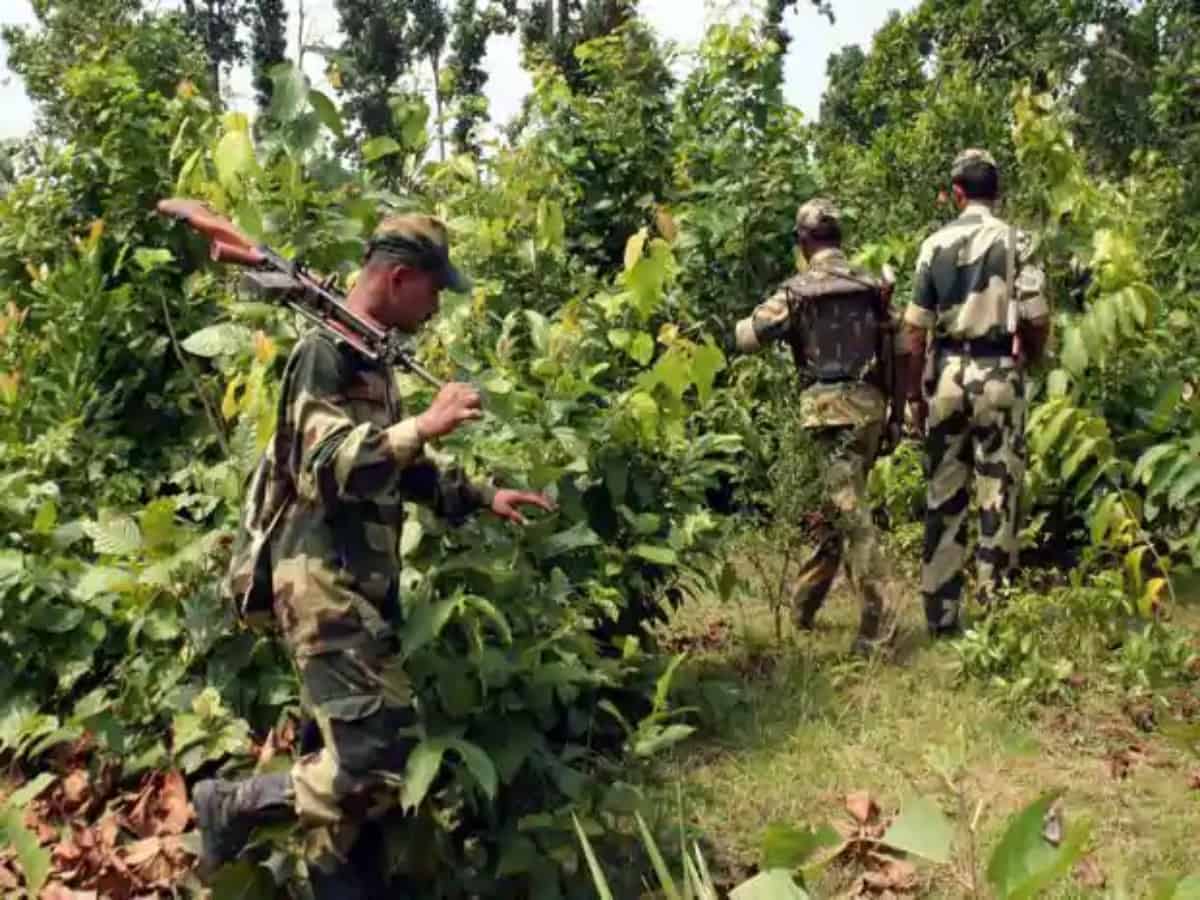 AP: 6 Maoists killed in encounter in Vishakapatnam's forests