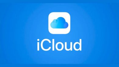 Now manage your iCloud Passwords on Windows