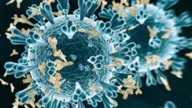Explainer: Are vaccines effective against Delta plus variant of COVID-19?