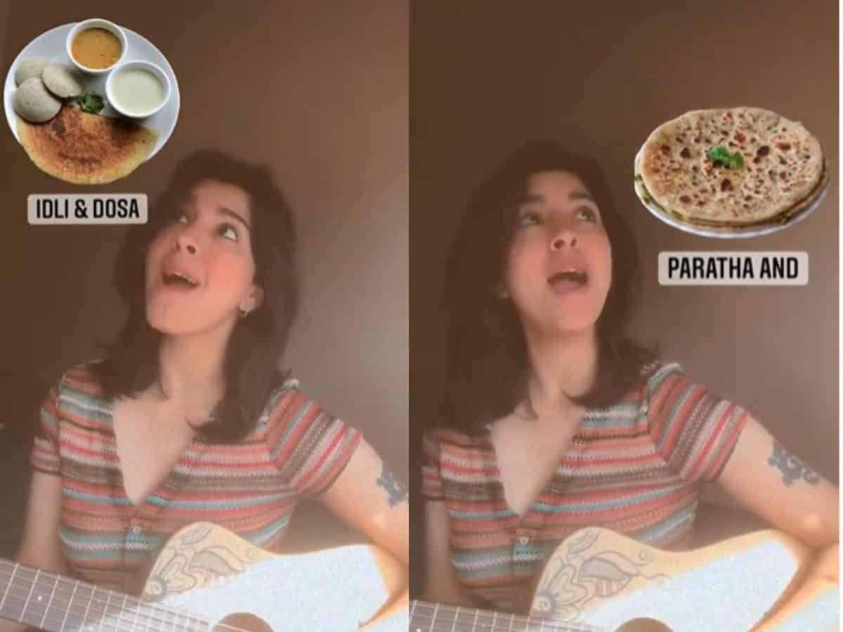 Digital artist explains how Indian food is not just 'curry'; internet loves it