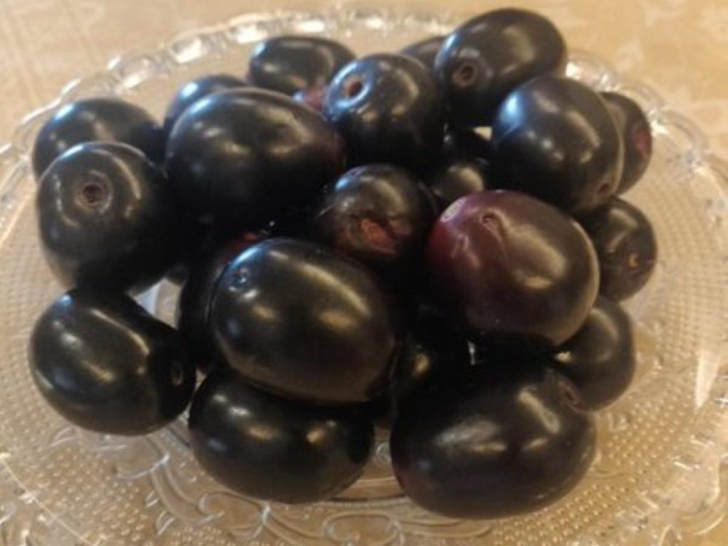 Jamun