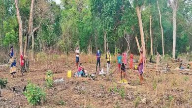 Tribals in Telangana village isolate in forest after testing COVID +ve