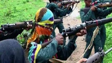6 Maoists gunned down in Andhra operation (Ld)