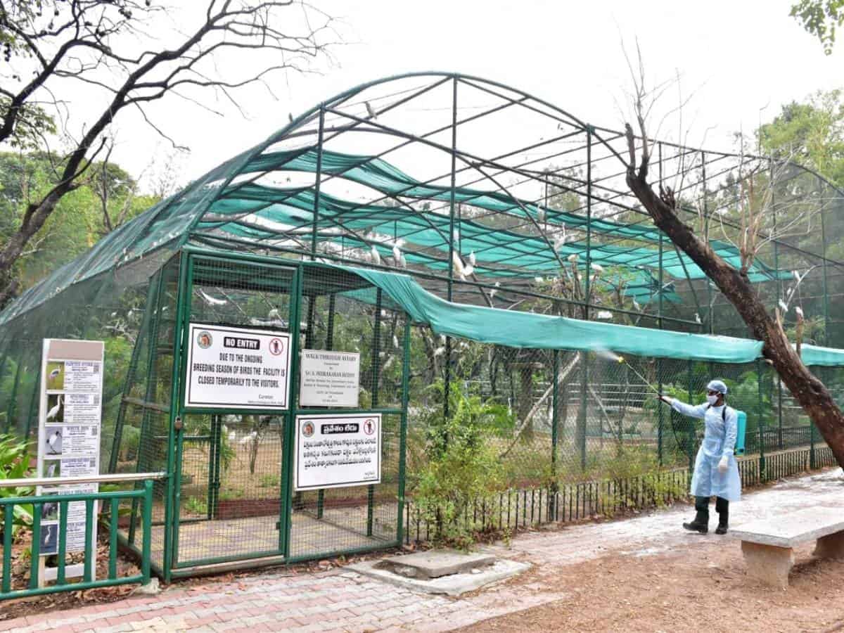 CCMB lab releases guidelines for COVID testing in zoo animals