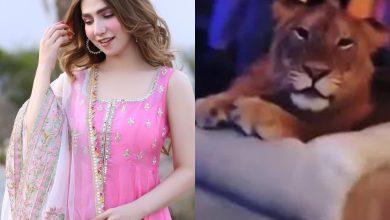 Pakistani influencer brings in Lion as birthday prop; irks netizens