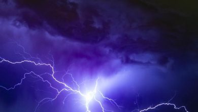 2 people, 2 bullocks killed by lightning in Telangana