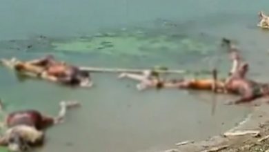 Dead bodies continue to be dumped into the Ganga in Bihar