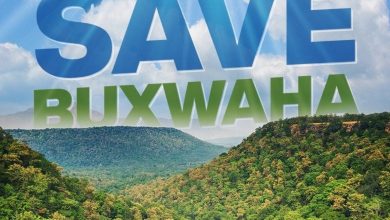 Over 2 lakh trees in MP’s Buxwaha forest to be cut for diamond mining: All you need to know