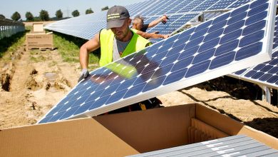 US blocks solar panel materials from China over labour abuses