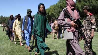 Taliban militants kill 43 in Malistan district of Afghanistan
