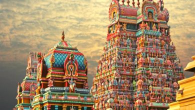 Tamil Nadu women can now receive training to become priests: Minister