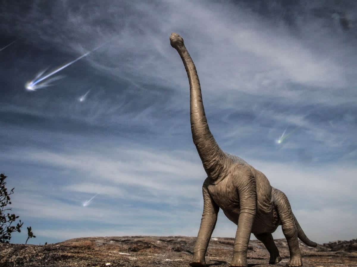 Footprints of last dinosaurs walked 110M years ago in UK found