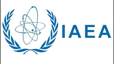 IAEA finds no evidence of undeclared nuke activities, materials in Ukraine