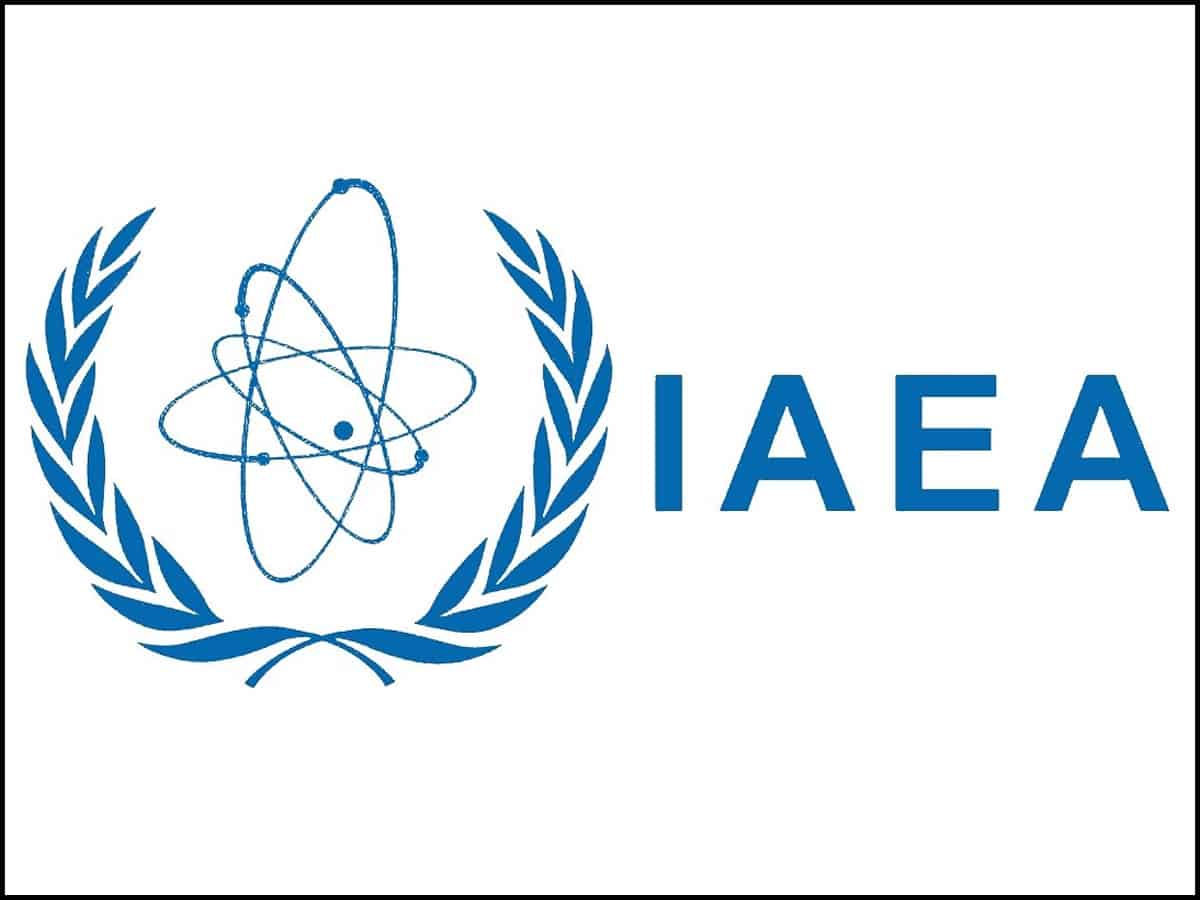 IAEA finds no evidence of undeclared nuke activities, materials in Ukraine