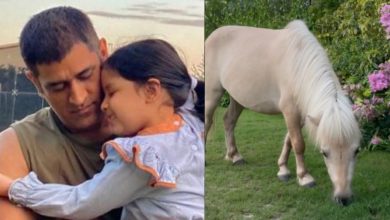 Viral: After Chetak, MS Dhoni adds another white pony to his farmhouse