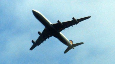 Death in the air: 3 pilots lost lives within 3 days; 2 in India