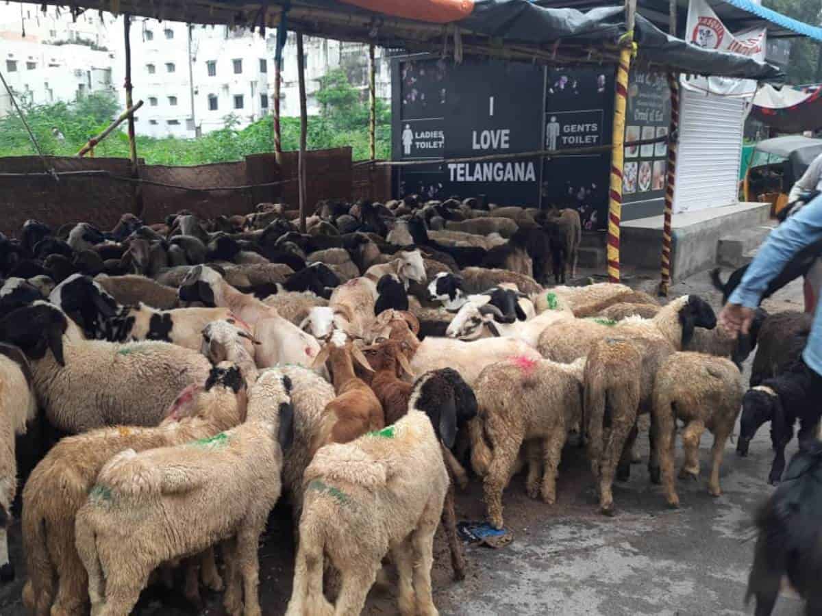 Eid Al Adha holiday in Telangana