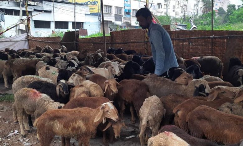 Telangana government declares holiday for Bakrid