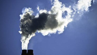 China, moving cautiously, starts carbon trading market