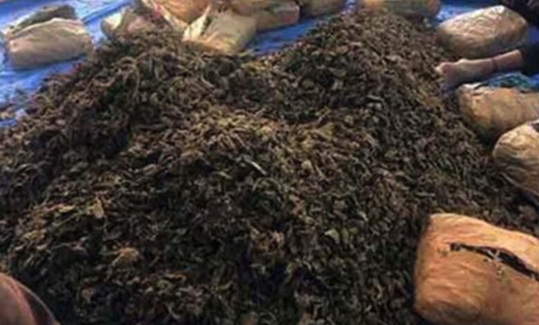 Telangana: Interstate drug racket busted, 14 kg ganja seized; 3 held