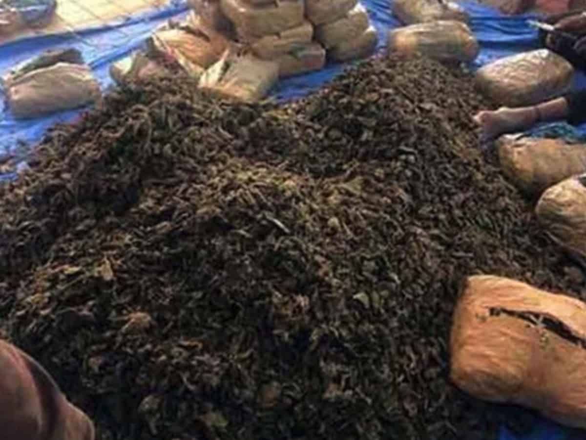 65 kg dry Ganja seized near Hyderabad; four peddlers held