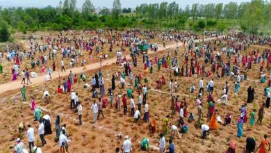 1 million saplings in 1 hour: Telangana aims for world record