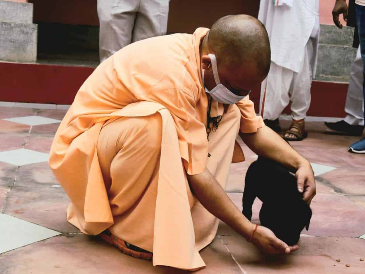 Yogi’s ‘Gullu’ turns into Internet sensation