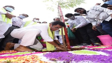 Telangana spent Rs 5,900 cr for Haritha Haram in 6 years